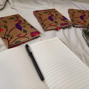 Paithani Diary